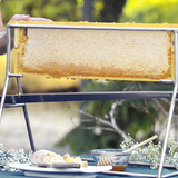 Stainless Steel Honeycomb Frame Display and Serving Stand (R)